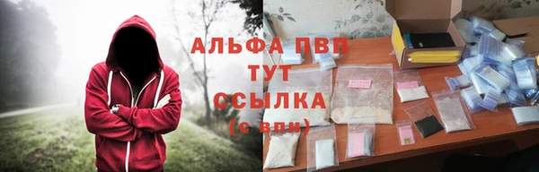 дмт Арсеньев