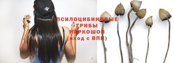 таблы Армянск