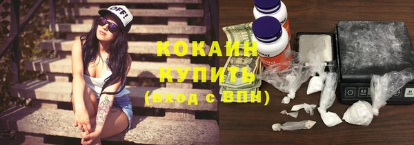 дмт Арсеньев
