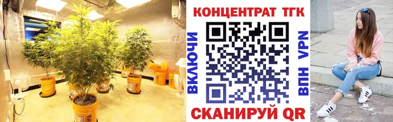 ТГК гашишное масло  OMG ONION  Павловск  цена наркотик 